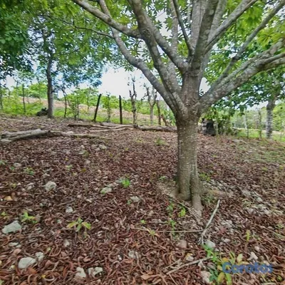 solares y terrenos - Vende Finca en Ramón Santana. 📍San Pedro de Macorí 11