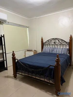 apartamentos - En Alquiler Apto. amueblado en Gazcue 6to nivel 10