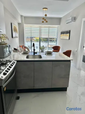 apartamentos - Apartamento en alquiler amueblado en Piantini 4