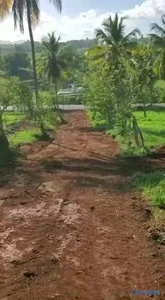 TERRENO EN VENTA | CARRETERA SAMANÁ–LAS GALERAS
