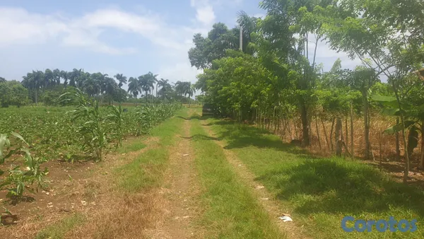 solares y terrenos - Terreno en Sabaneta de Yasica a 7 minutos de cabar 20