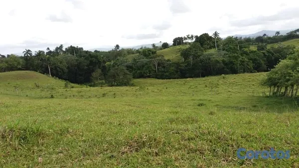 solares y terrenos - Venta de finca 474 tareas. Río San Juan-  Maria Trinidad Sanchez. 4