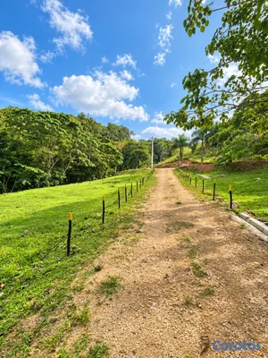solares y terrenos - Solar 541 m2 en Las Terrenas, listo para construir

Precio: US$43,318 5
