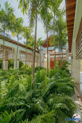 casas - Contemporary Caribbean Estate Near Punta Espada Go 3