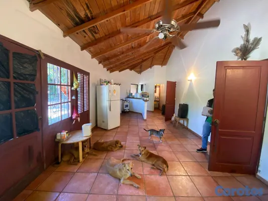 casas vacacionales y villas - 5 mins de la playa,vella y tranquila area.para caminar..y arboles frutales..etc. 11