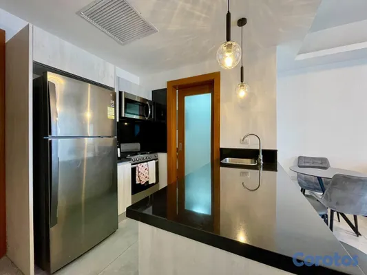 apartamentos - Apartamento en renta ubicado en Piantini Totalmente amueblado 6