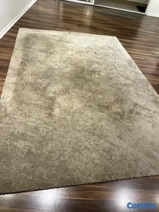 Alfombra marca Bauta 200 x 290 cm (6'6'' x 9'6'') 