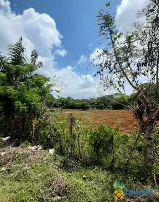 solares y terrenos - Parcela 12,319m2 con Titulo y deslinde , en Pedro Brand (km22 Autopista Duarte) 3