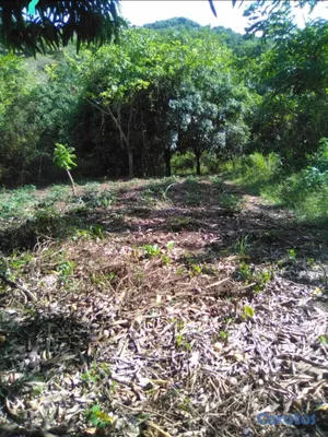 solares y terrenos - 30 TAREAS PRÓXIMO A HATO DAMAS 2