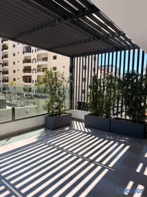 apartamentos - Apartamento En Alquiler Evaristo Morales 10