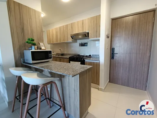 apartamentos - Apartamento Amoblado en alquiler en Epic Punta Can 4
