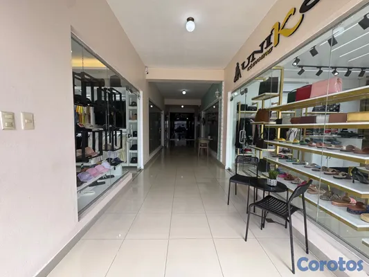 oficinas y locales comerciales - Local Comercial en Alquiler en el Centro de San Fr 5