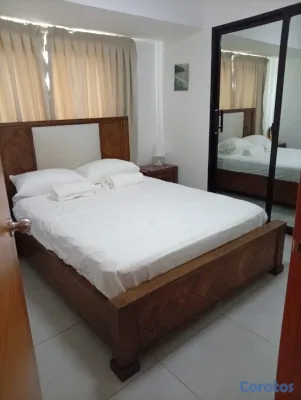 apartamentos - Alquilo Apartamento Amueblado en Evaristo Morales ma 4