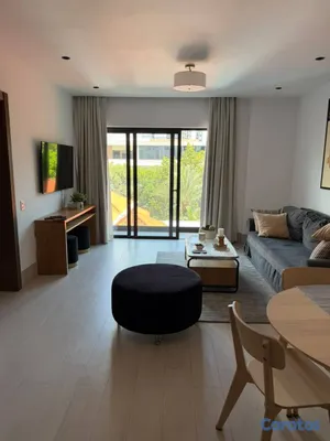 apartamentos - APARTAMENTO AMUEBLADO EN ALQUILER – PIANTINI SANTO 2