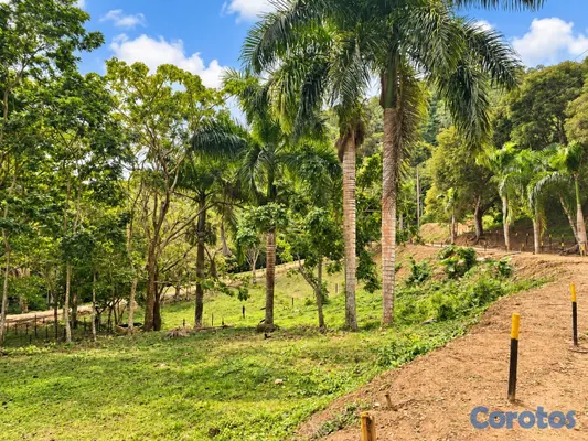 solares y terrenos - Solar 541 m2 en Las Terrenas, listo para construir

Precio: US$43,318 10
