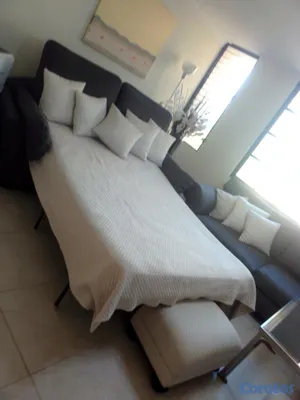 muebles y colchones - Sofa cama de 2 , Queen , Importado 8