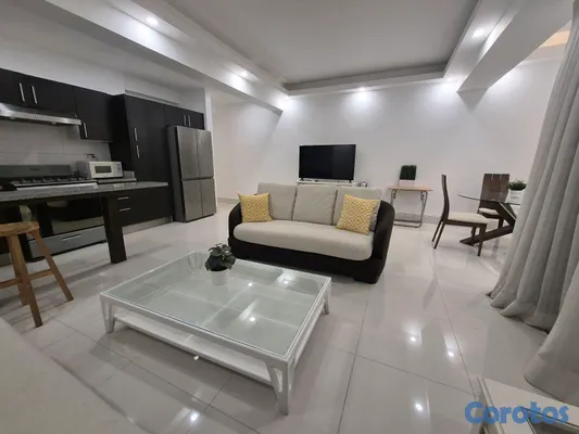 apartamentos - Gran oportunidad de inversión en Naco 4