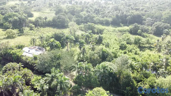 solares y terrenos - Se Vende Terreno de 77.01 Tareas 2