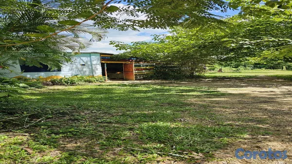 solares y terrenos - 🌿✨ ¡Finca Ecoturística en San Antonio de Guerra! ✨🌿 2