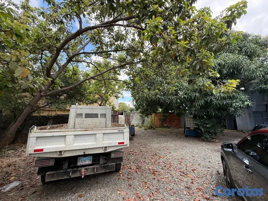 oficinas y locales comerciales - Nave en Alquiler  12