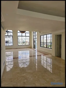 Penthouse En Bella Vista