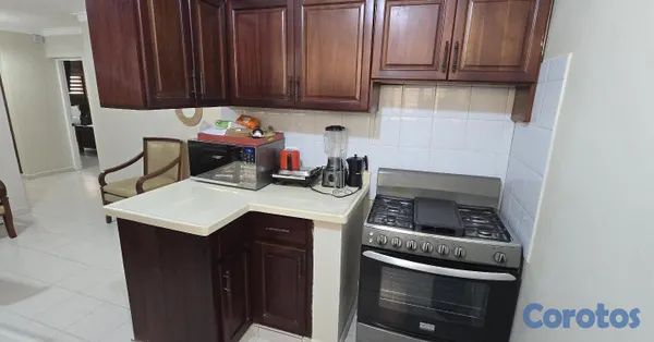 apartamentos - 1er piso amueblado las diana próximo a unión médica Santiago  12