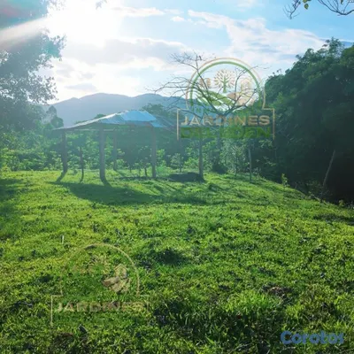 solares y terrenos - EDÉN 1ro🌳❤️ 5
