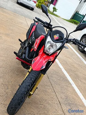 motores y pasolas - Loncin 2024 2