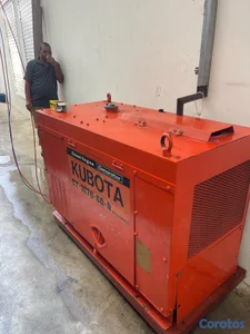 planta Kubota 17 kilos 