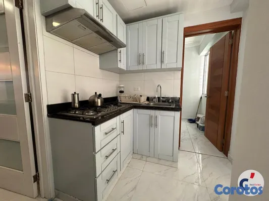 apartamentos - Alquilo apartamento completamente amueblado con do 20
