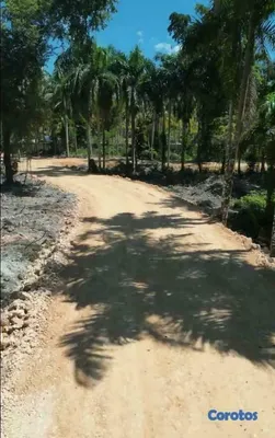 solares y terrenos - Exclusive Lots with Beach Access in Las Terrenas, Samaná 7