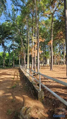 casas vacacionales y villas - Finca familiar en venta - Salamanca, Pedro Brand 5