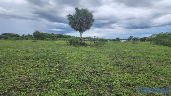 solares y terrenos - Solar en venta Gurabo Abajo, la Cruz gorda 3
