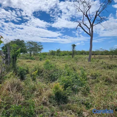 solares y terrenos - Terreno en venta.  2