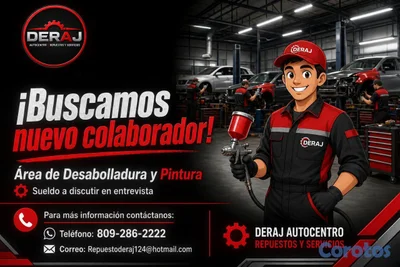 Se solicita desarmador de vehiculos