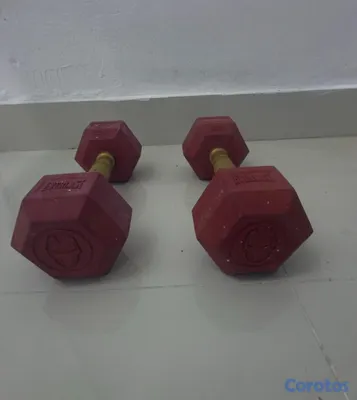 Artículos Deportivos - Set de pesas Gold’s Gym y Everlast – Kettlebell 50 4