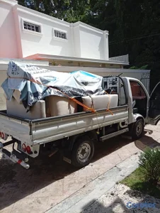 Mudanza y acarreo 