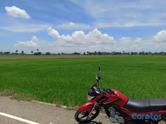 motores y pasolas - Motor 200cc Summa año 2022 (Con papeles) 5