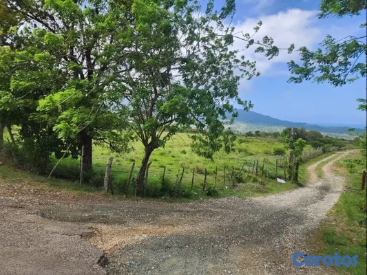 solares y terrenos - Solar en VENTA 11
