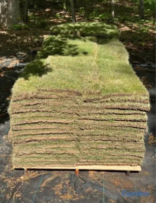herramientas, jardines y exterior - Vendo todos tipos de paletas de zacate.

San Agustín 
Bermuda.
Zoysia.
 2