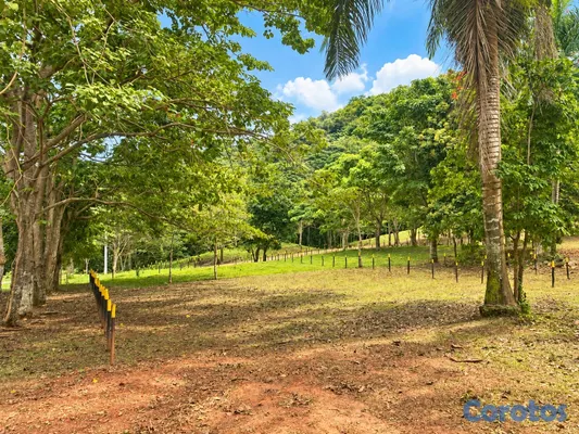 solares y terrenos - Solar 541 m2 en Las Terrenas, listo para construir

Precio: US$43,318 7