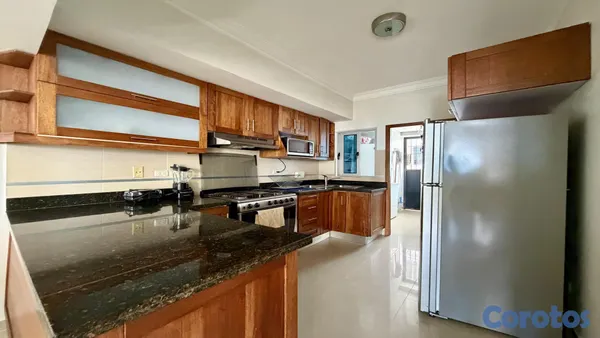 apartamentos - Apartamento amueblado en alquiler en Piantini 7