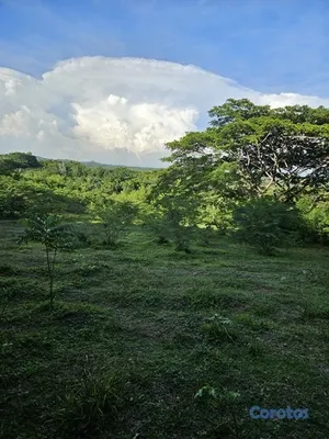 solares y terrenos - MARAVILLOSOS TERRENOS-UN PARAISO EN RINCON YACO ST 2