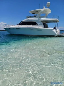 Yate Sea Ray Sedan bridge 58" (Monte Cristi) Excelente Estado