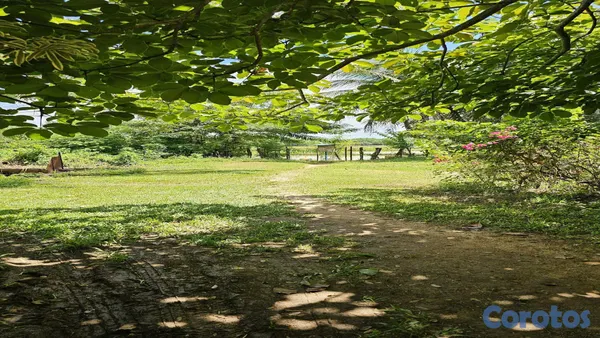 solares y terrenos - 🌿✨ ¡Finca Ecoturística en San Antonio de Guerra! ✨🌿 3
