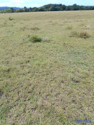solares y terrenos - se vende terreno en punta cana bávaro ideal para Villa o 🏡 casa de campo  6