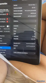 celulares y tabletas - iPad sin cargador 
