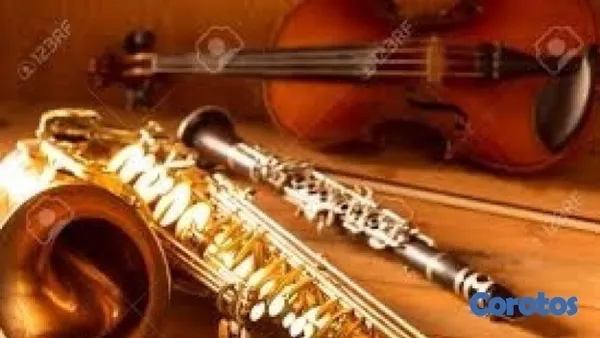 servicios profesionales - Para sus fiestas, Bodas y Quinceaños,  violinistas 6