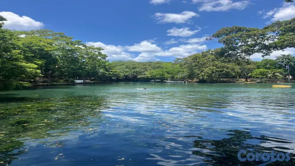 solares y terrenos - Terreno en venta en Río San Juan cerca de Playa Los Minos y Laguna Gri-Gri 7