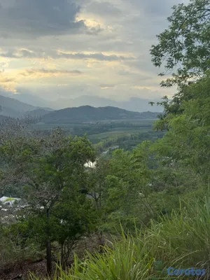 solares y terrenos - ALTOS DE EDÉN🌳✨ 4